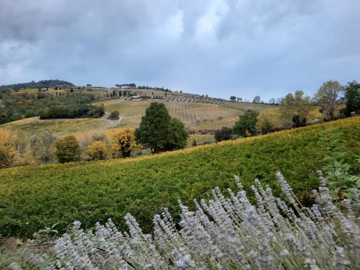 Del Sole * San Gimignano