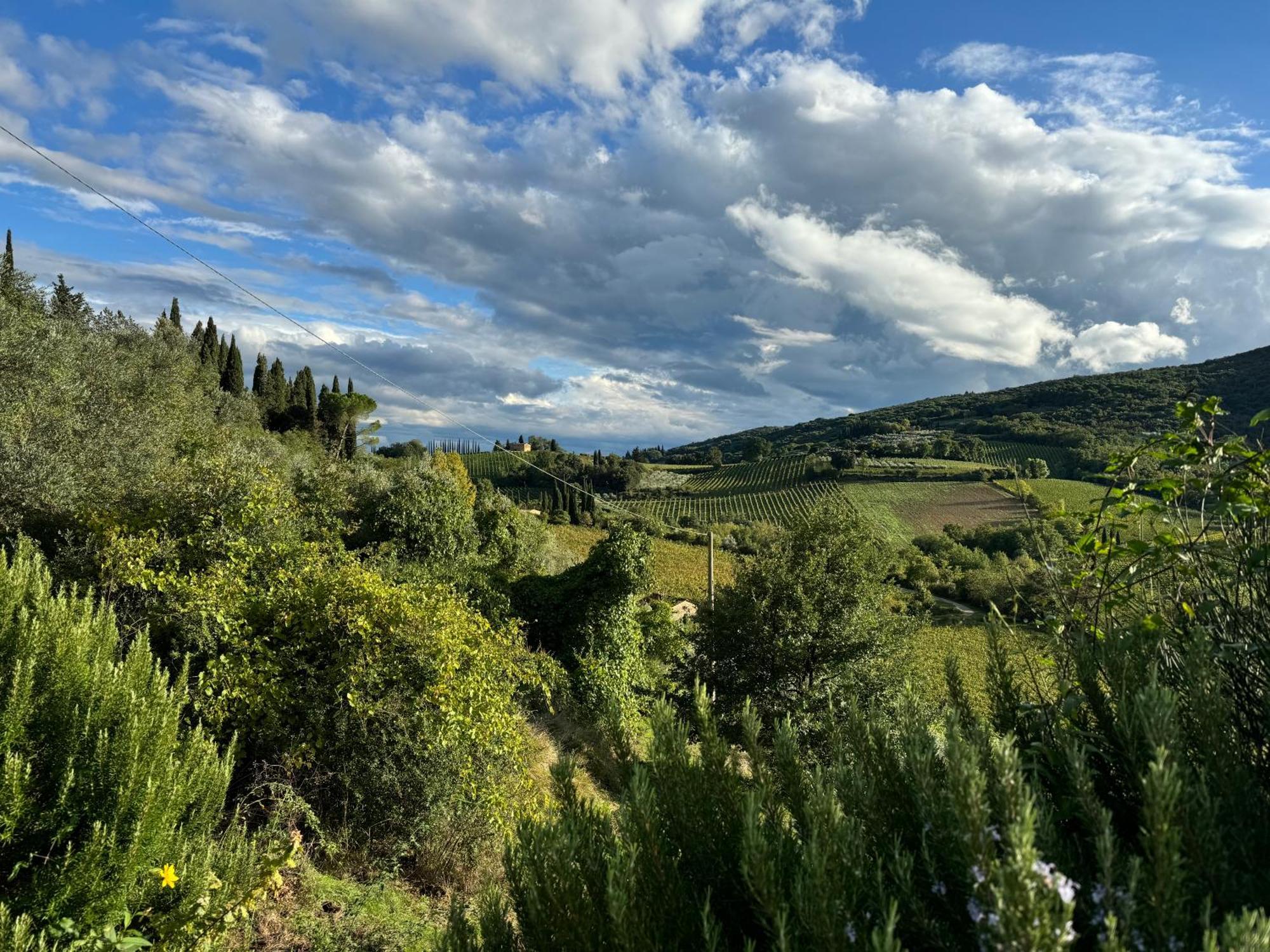 Del Sole