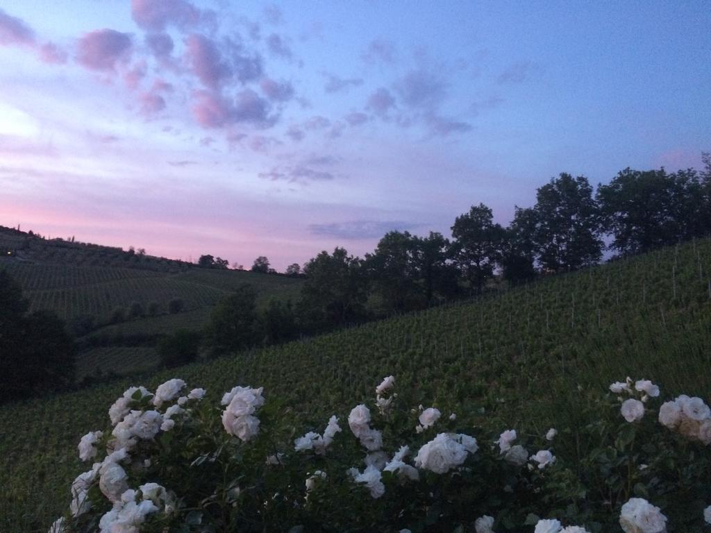 Séjour à la campagne Del Sole San Gimignano